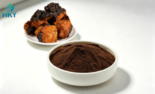 chaga extract