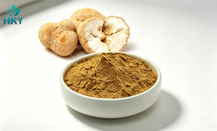 lions mane extract
