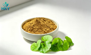Centella Asiatica Extract